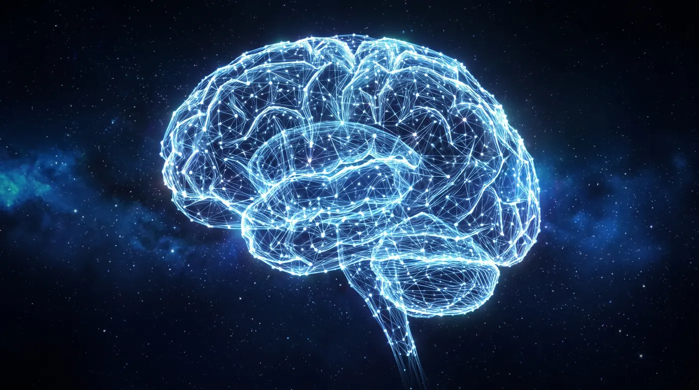 Brain point lattice
